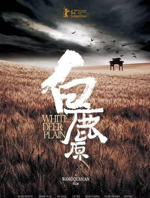 德国德累斯顿驾驶证办理